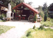 zaneta